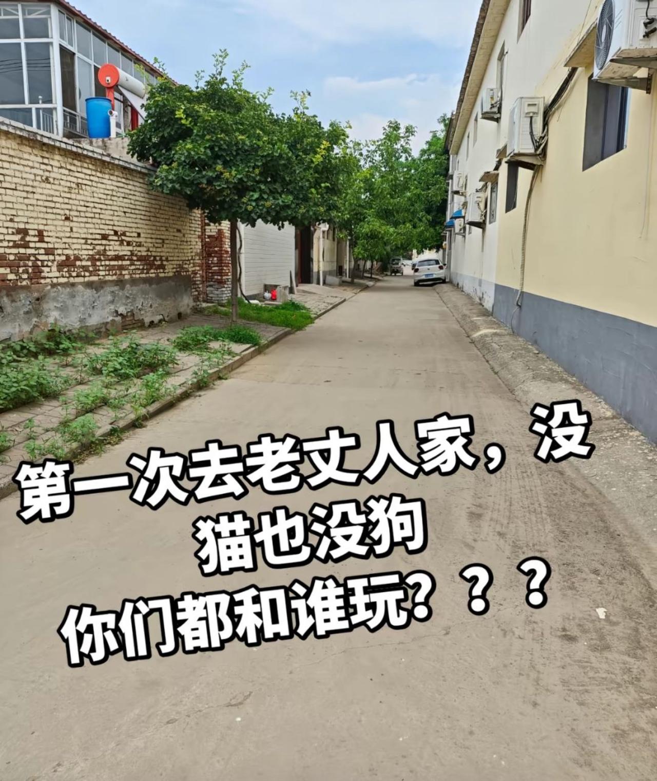 头回上门见老丈人，提前都把攻略做满了：尴尬了就撸猫，冷场了就逗狗，实在不行还能跟