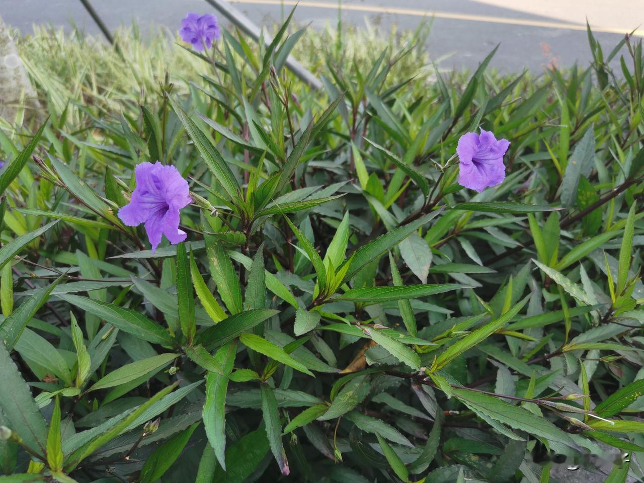 不是所有女人都讲究干净。比如我。出去爬山累了，我就往台阶上、石头上一坐。坐垫