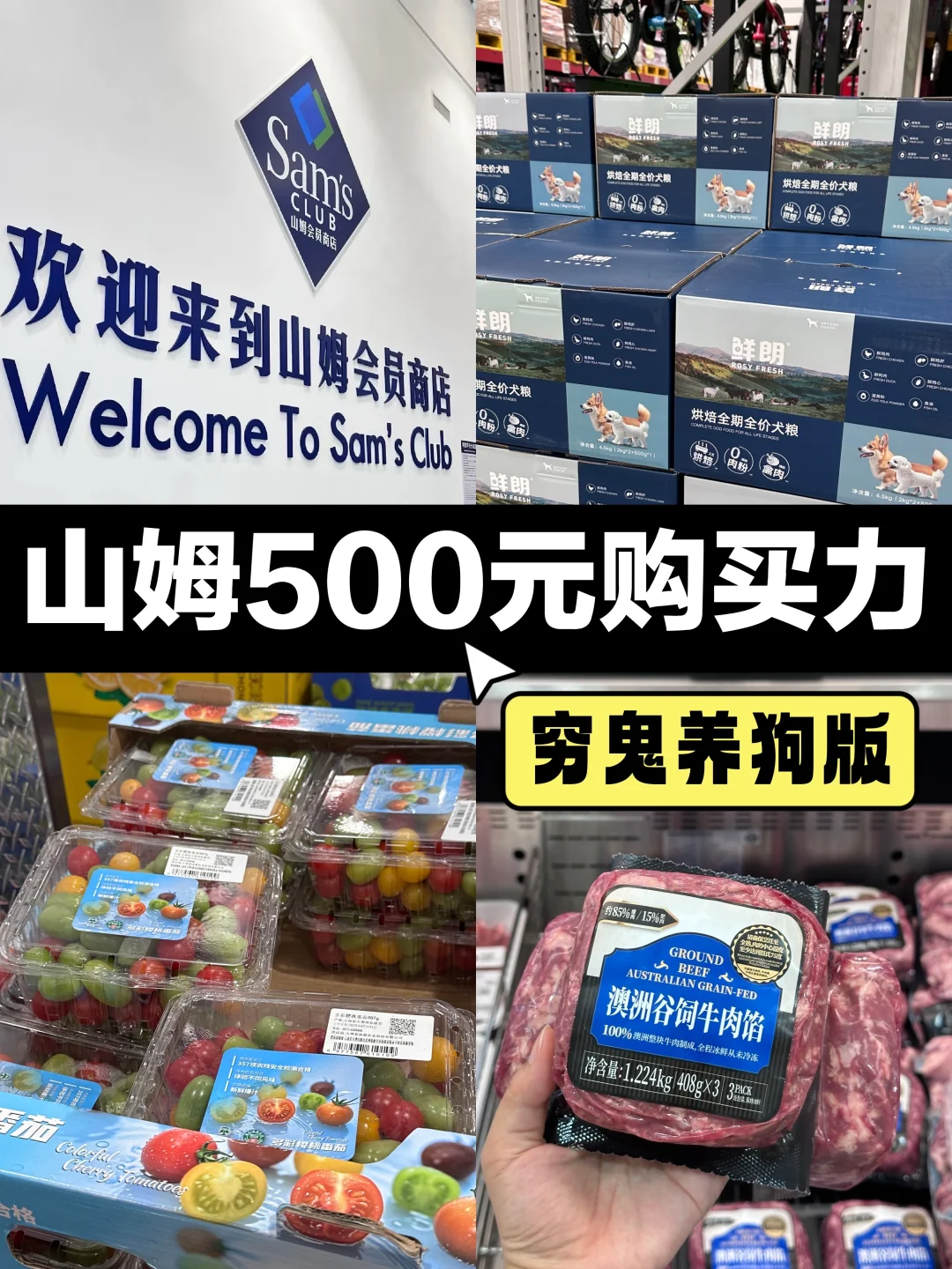 山姆500元购买力——穷鬼养狗版