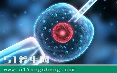 试管婴儿时女性取卵过程详解, 看完心疼女人一万遍!
