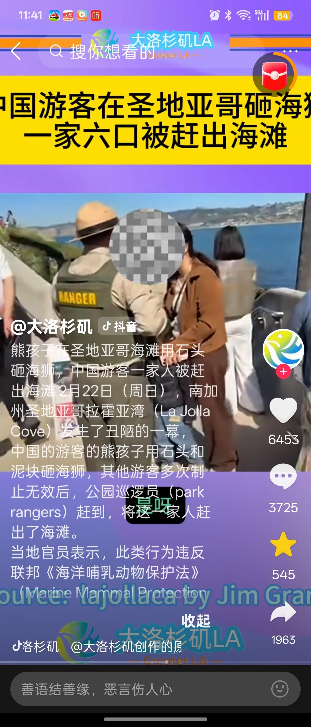 能别出去给我们丢人吗？2月22日，在美国加州圣地亚哥拉霍亚海湾。孩子对野生海豹