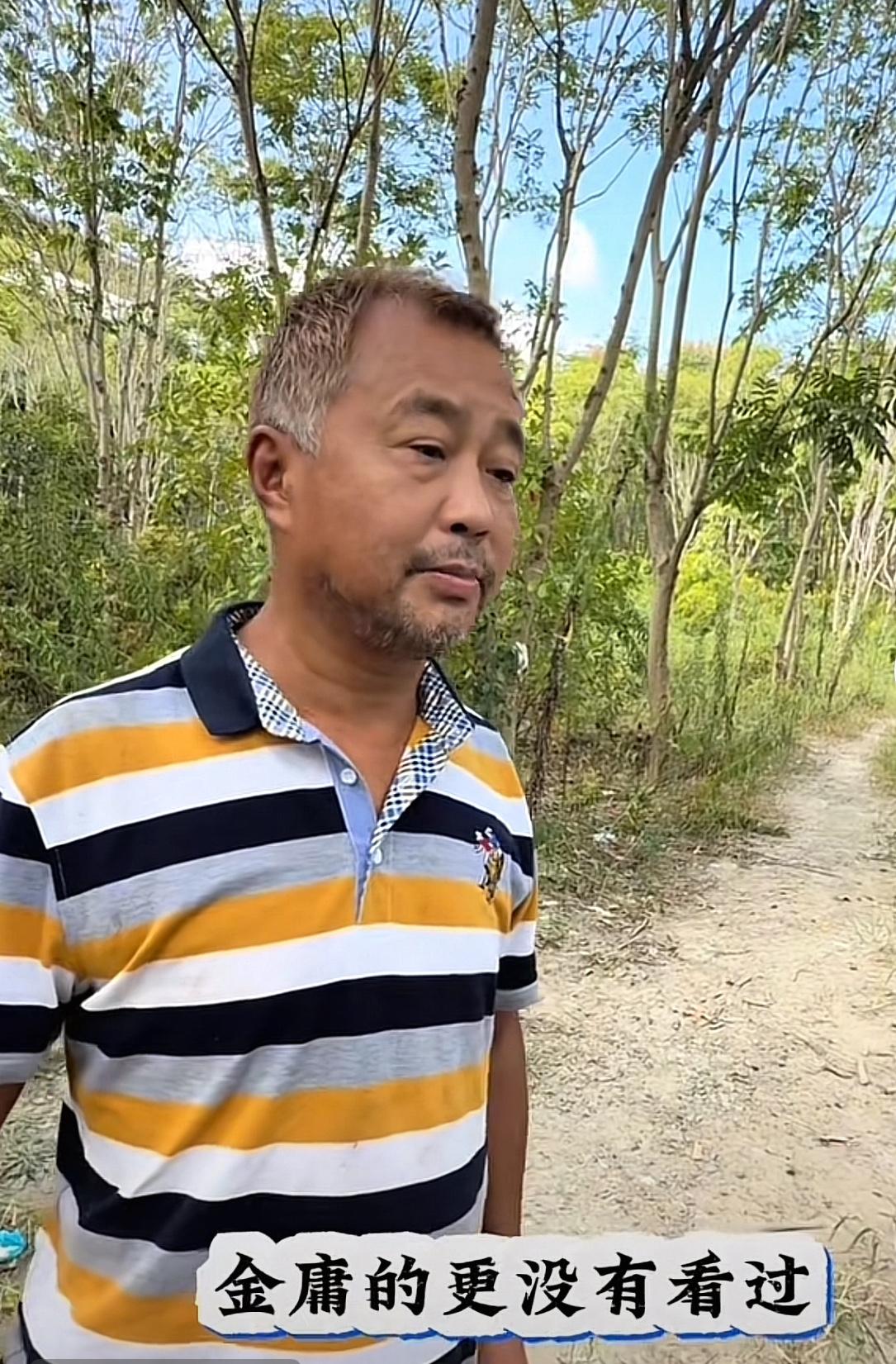 沈巍看书无数，但是从没看过一本纯编的小说[捂脸哭]梁雨生的没看过，古龙的也没看