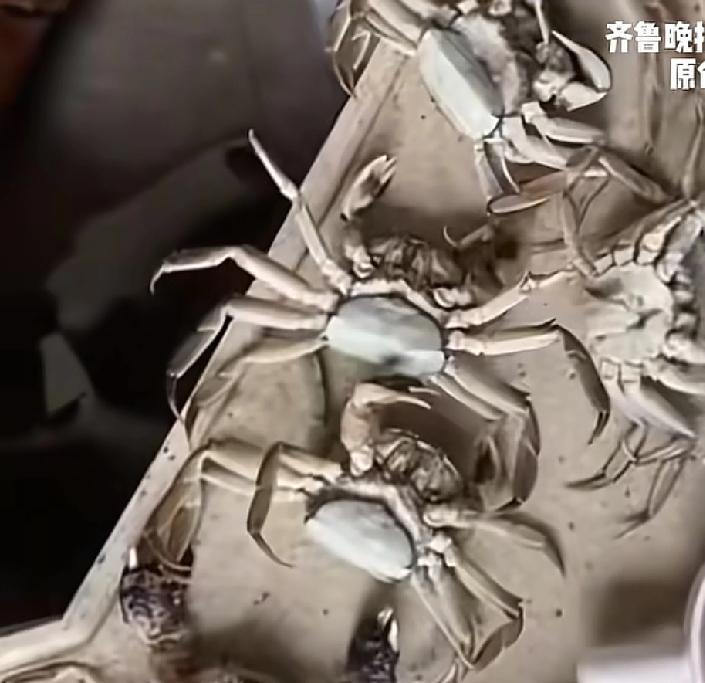 江苏一家通过网络平台销售螃蟹的，最近却遇到了头疼的问题一位，客户要求退货，说刚