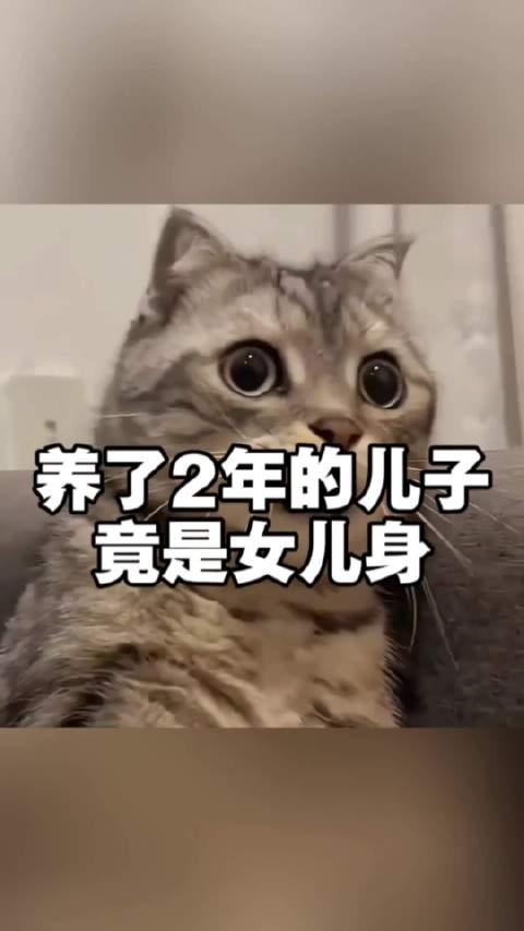 养了2年的儿子才发现是女儿身，离奇错位：她曾是“男孩”，染色体却藏着真相文文出