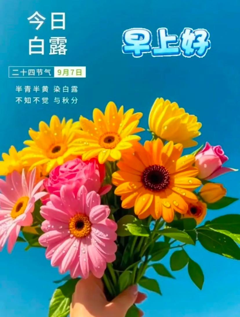 2026.9月7日，周一早安，恰逢白露秋来时，点亮数缕烟霞🍁?