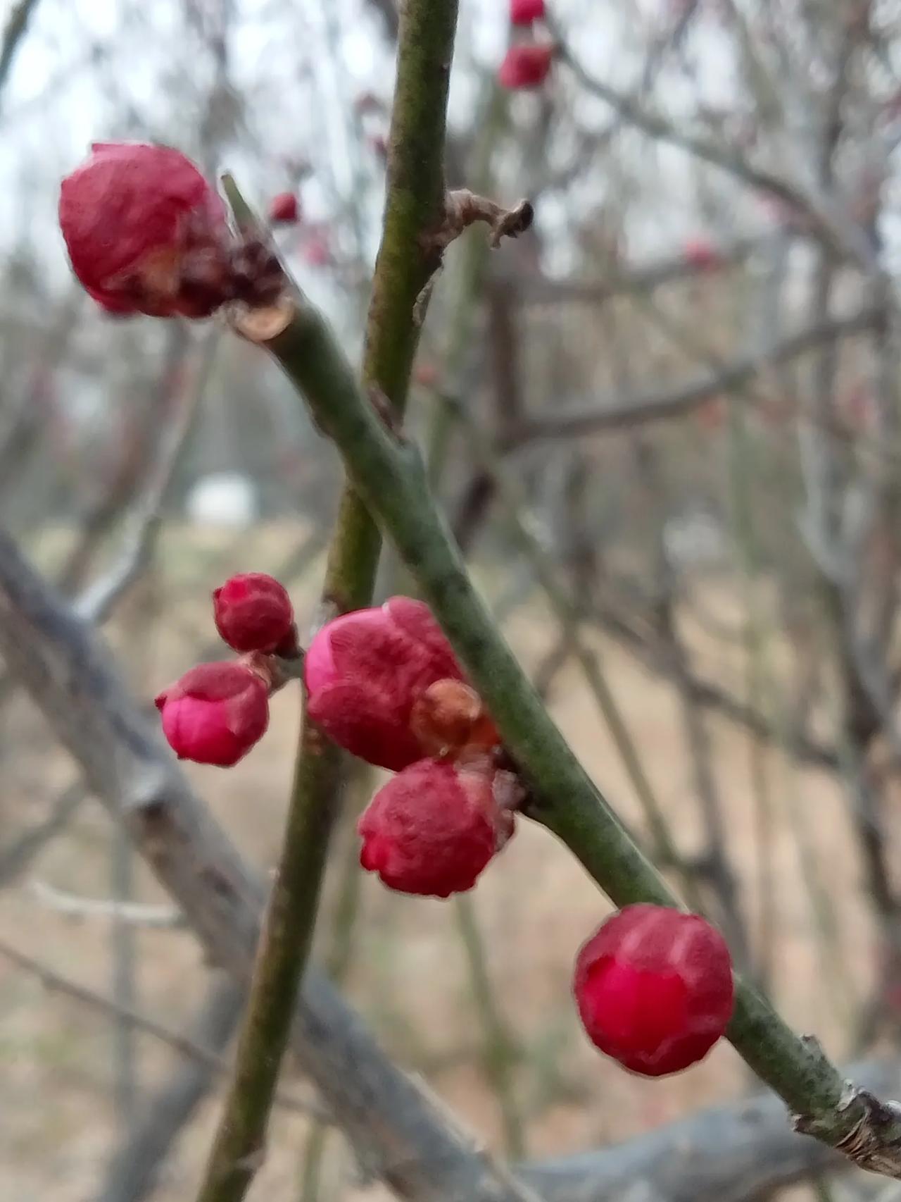 企业事业退休人员有什么差异?一是退休金存在差异，且差距达一至二倍。二是企业不