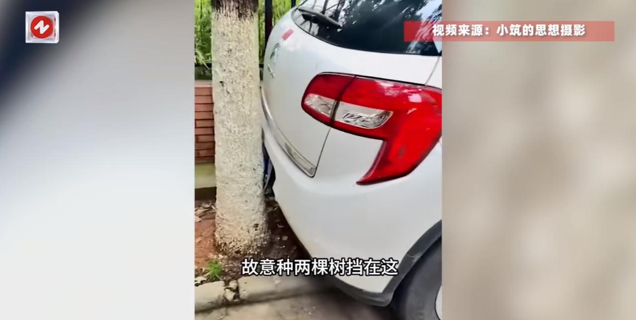 “离了个大谱！”6月5日，云南昆明，一男子因为晚上喝多了，就找了一个代驾送自己回