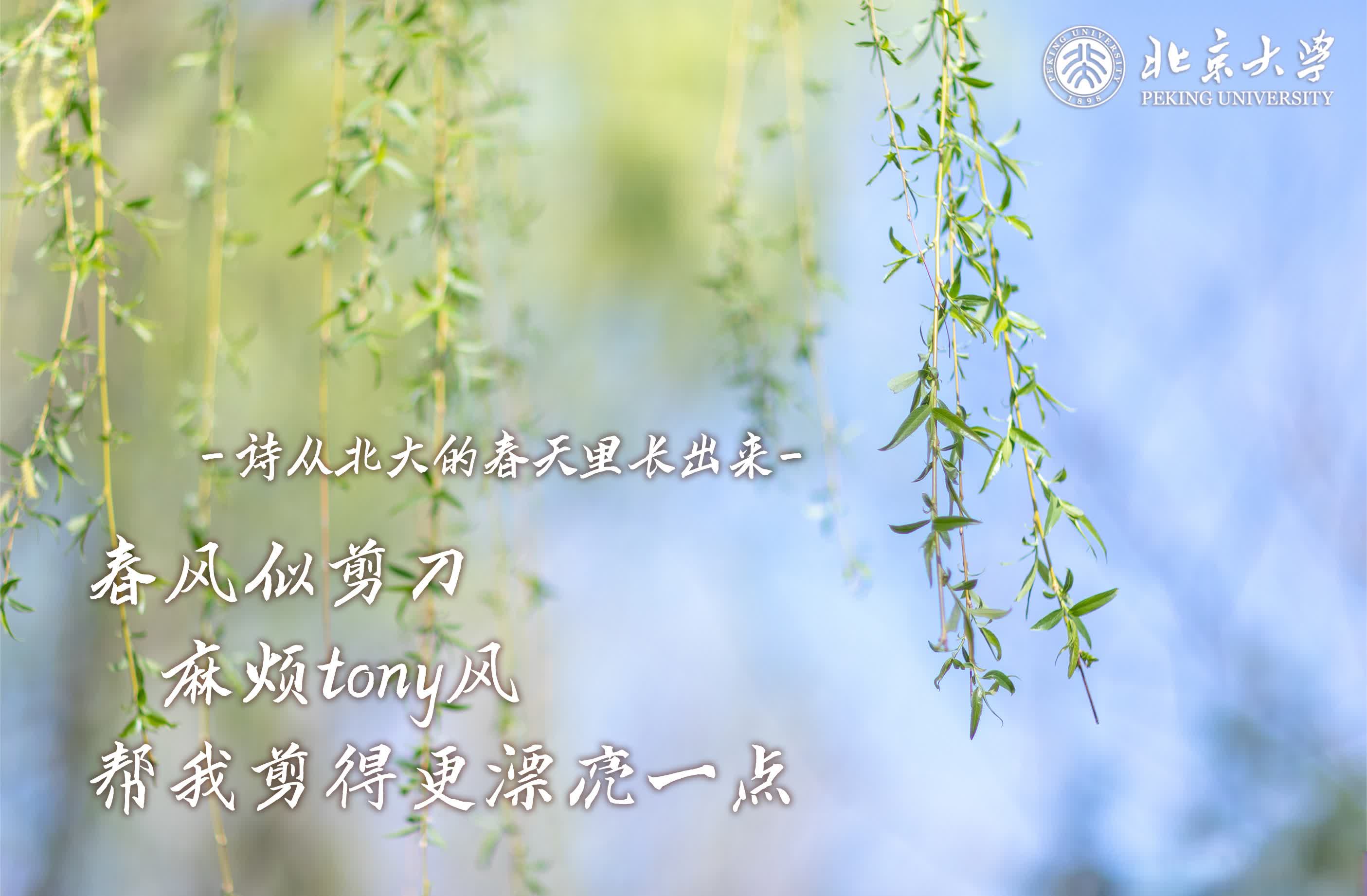 春风似剪刀，麻烦tony风帮我剪得更漂亮一点（摄影：郭梦姣，小编：炸毛球）