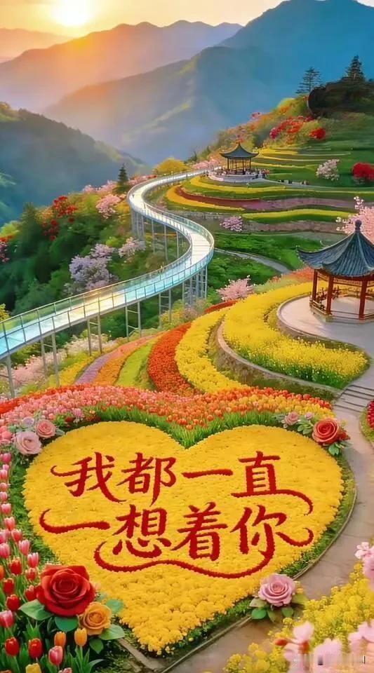 迎着朝阳，揣着温柔，与春日撞个满怀，愿你日日皆欢喜，早安🌸