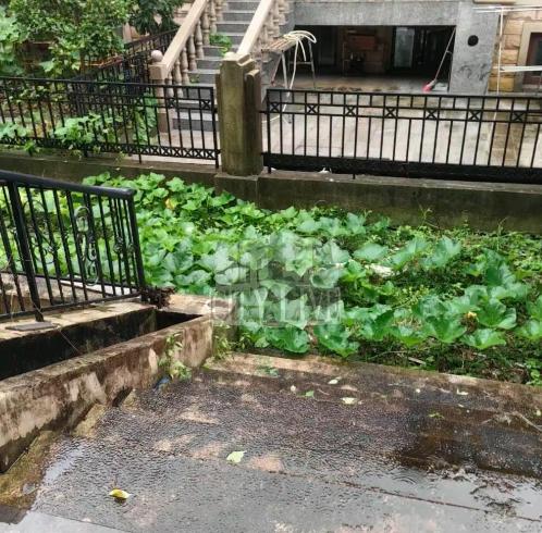 江西南昌，一男子买下别墅后，一直都没装修，直到10多年后，他才回来查看，结果却发