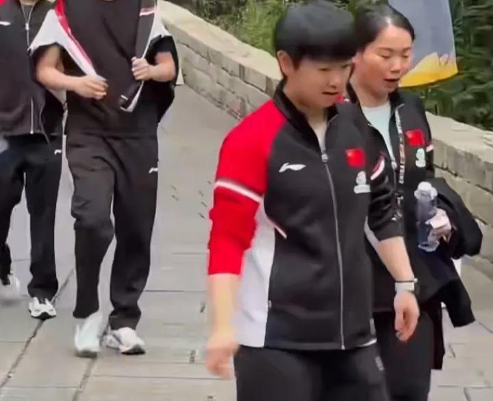原来抽完签莎莎还在回忆打扰她的小虫子。莎莎问:巨漂亮，一圈一圈的，叫什么来着。后