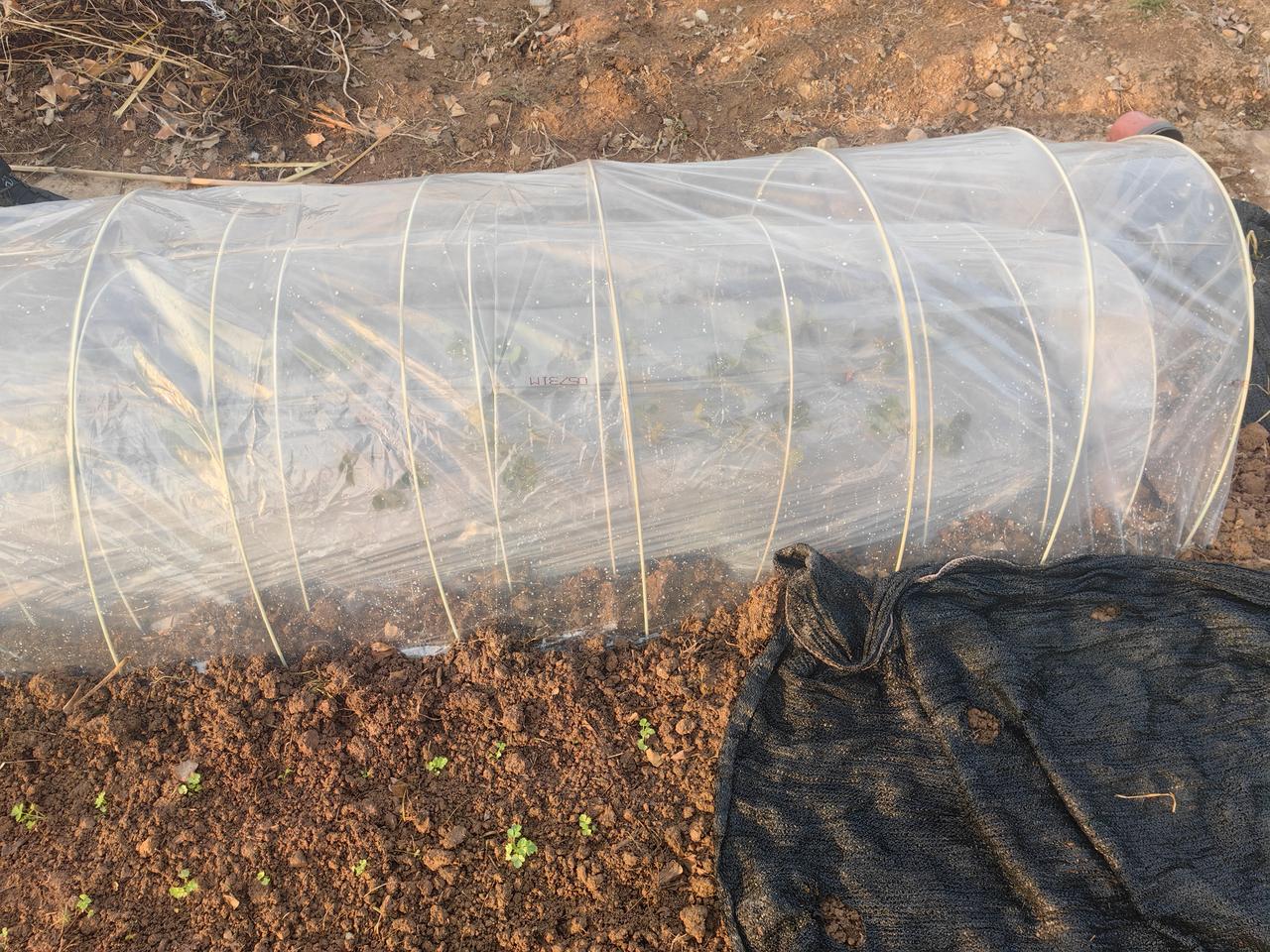 目前为止，两市生产机器人最多的公司，实际机器人投入应用领域最多的公司。那就