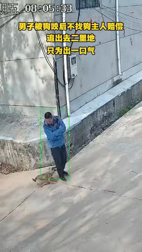 “强得可怕！”11月21日，山东，一男子在村子里散步，突然被一条没有拴绳的狗咬伤