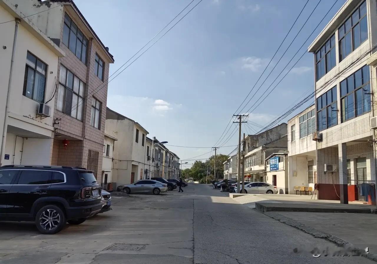 接到二伯父家大堂哥的电话，说没看到我老妈，但他把他家一瓮咸菜送给我们放我家院子里