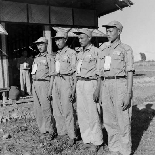 1950年，云南解放，国民党第8军、26军打输了仗，钻进了缅甸的深山老林，