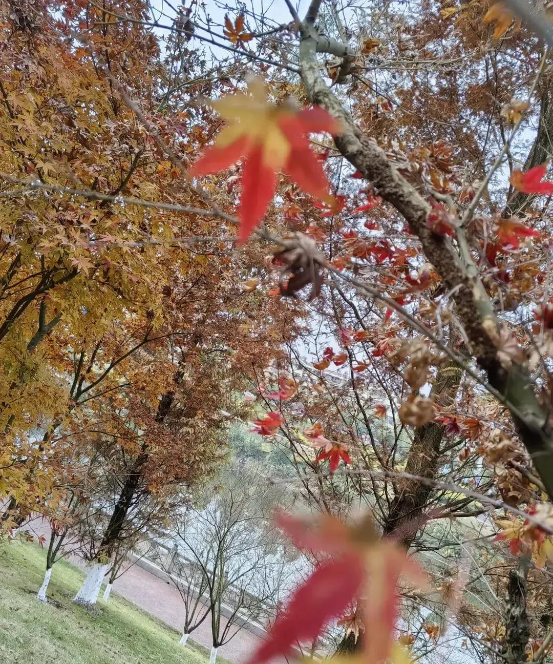 刷到个帖子，一位大姐说自己一辈子没上班，全靠老公养，年轻时被夸命好，如今老公退休