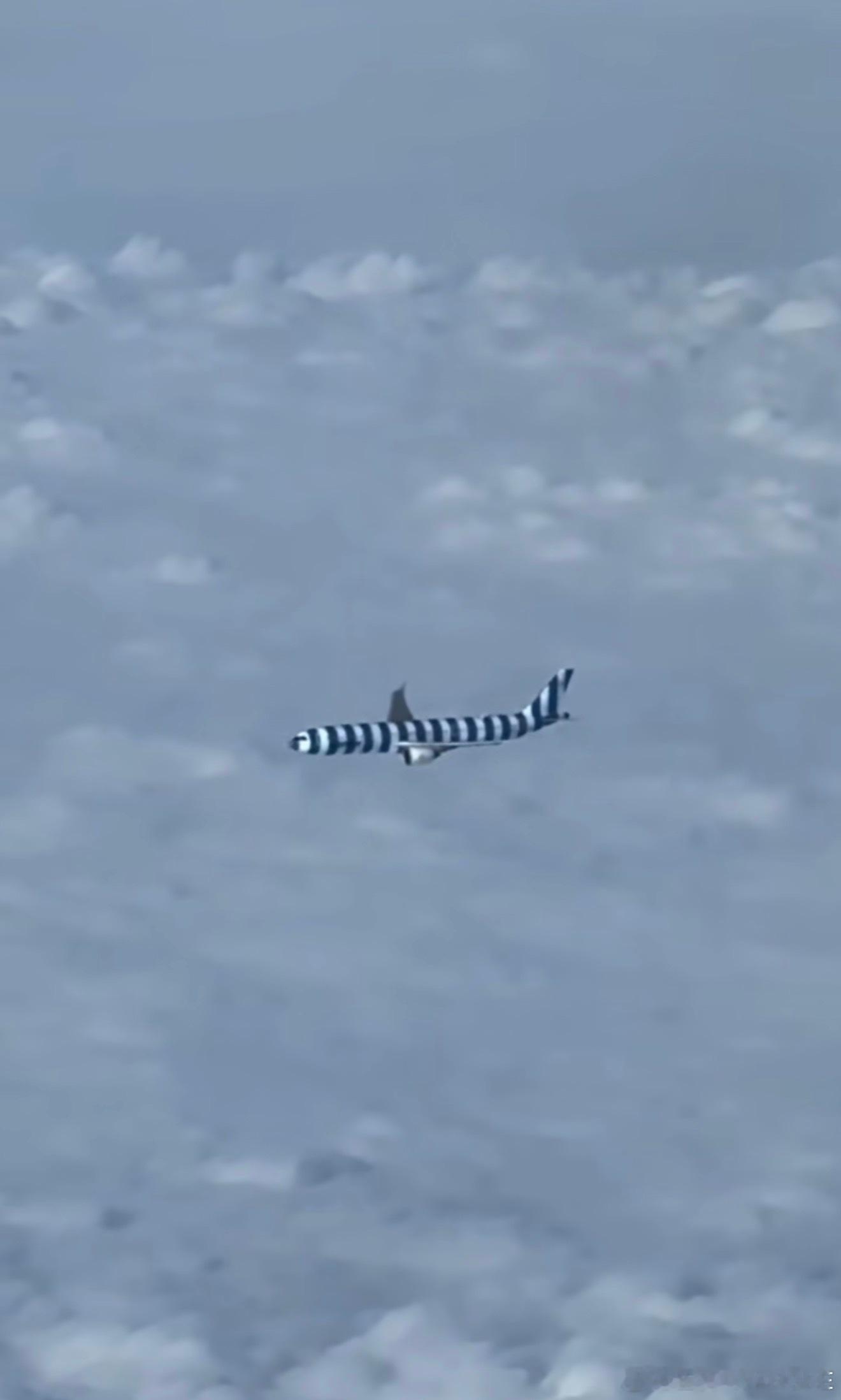 德国神鹰航空！创意不错👍！​​​
