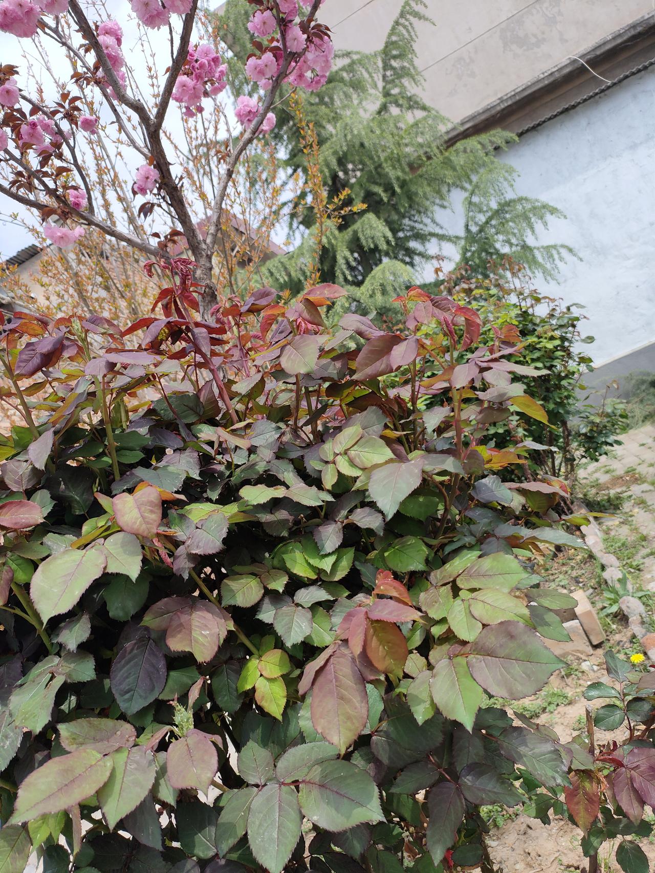 人生苦短，别跟自己较劲，对自己好点比啥都强咱活这一辈子，总想着事事顺心，想