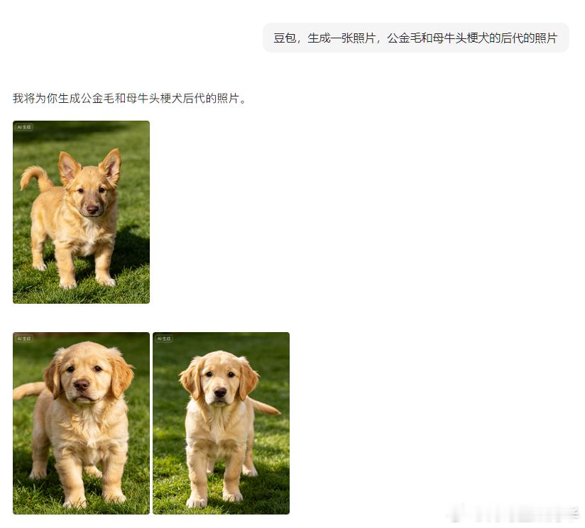 “豆包，生成一张照片，公金毛和母牛头梗犬的后代的照片”