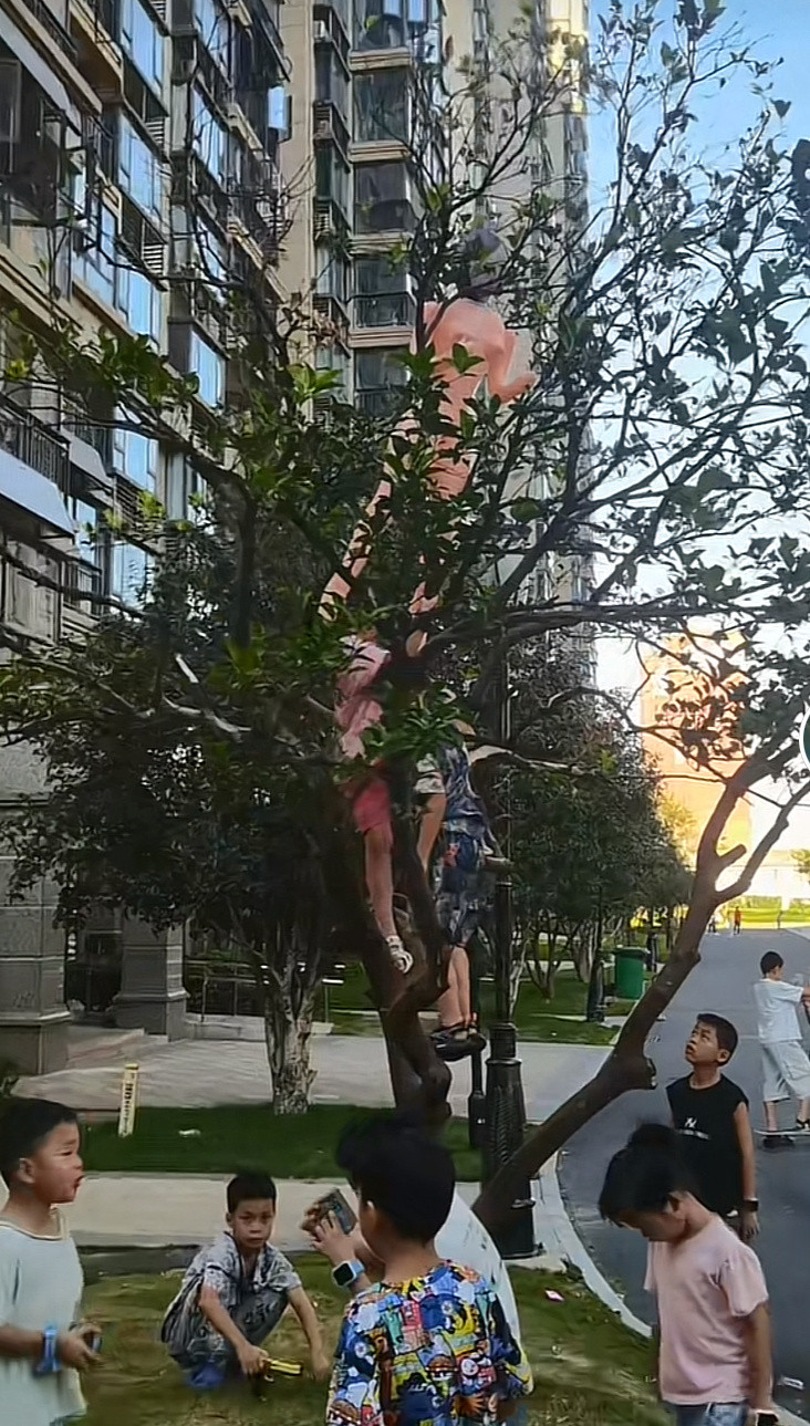 急坏了救人心切的童子军，说了几遍洗了不要放阳台晾，这些孩子很勇敢，为了就阿姨不顾