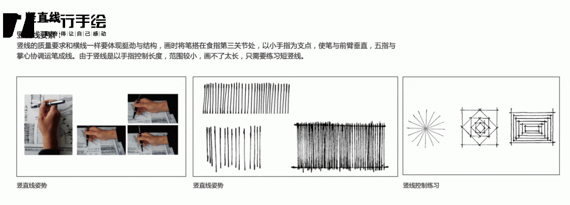 手绘线条练习基础教程通用教程