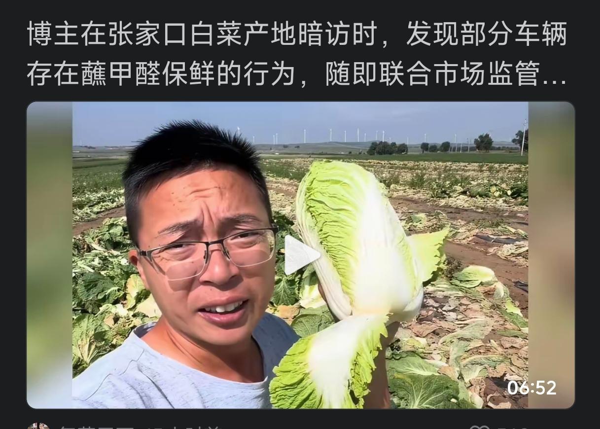 我现在才知道用冷藏车运输的白菜不会泡甲醛，这是一个常年用冷藏车运输蔬菜的车友说的