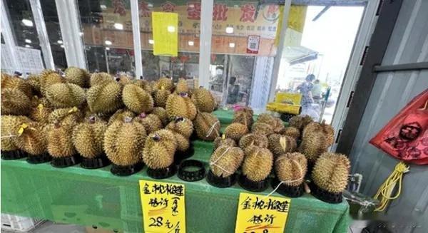 往年旺季金枕榴莲普遍35～50元/斤，如今全国多地批发市场泰国金枕批发低至13-