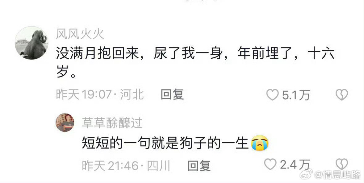 短短的一句就是小狗的一生​​​……​​​