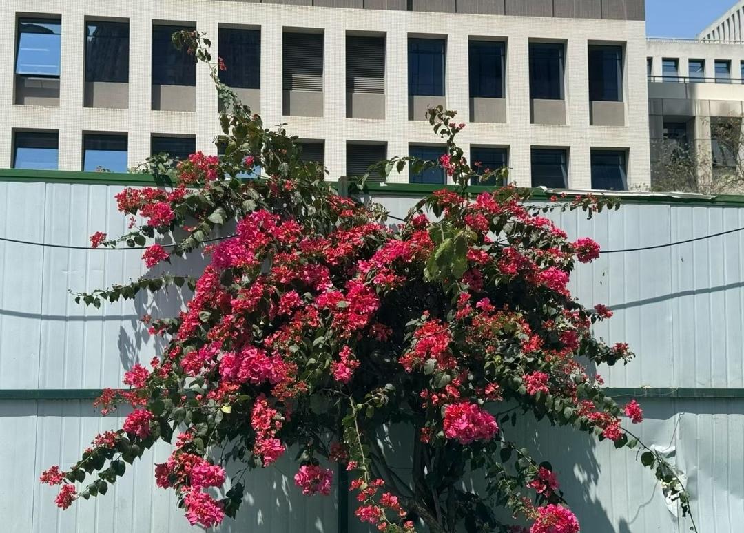 初学把脉，不要去记什么什么脉，多少种脉法。其实等你熟练了以后，也可以忘记什么什么