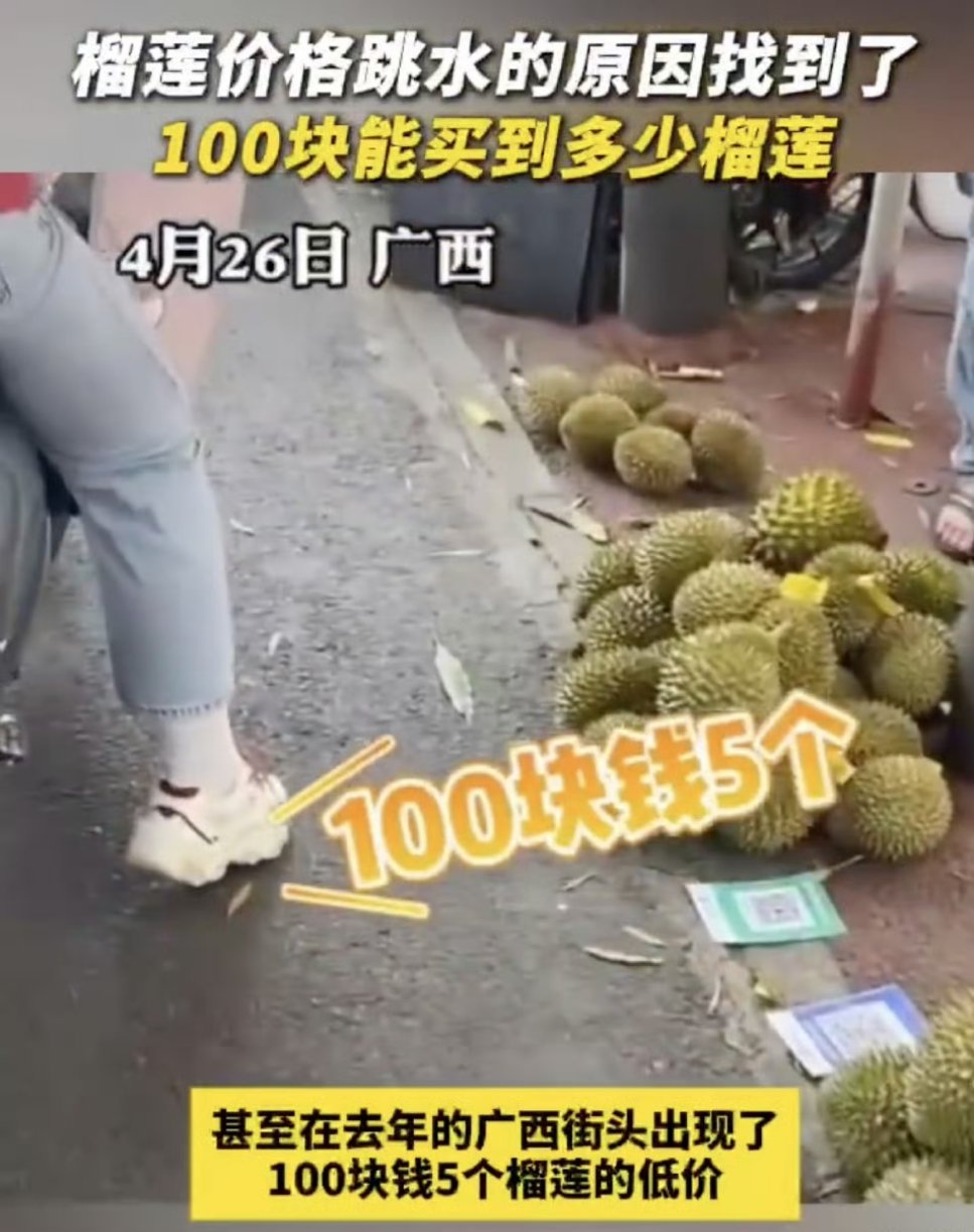 今年榴莲价格持续走低，百元买整颗果肉饱满的榴莲已成常态。榴莲价格跳水的原因找到了