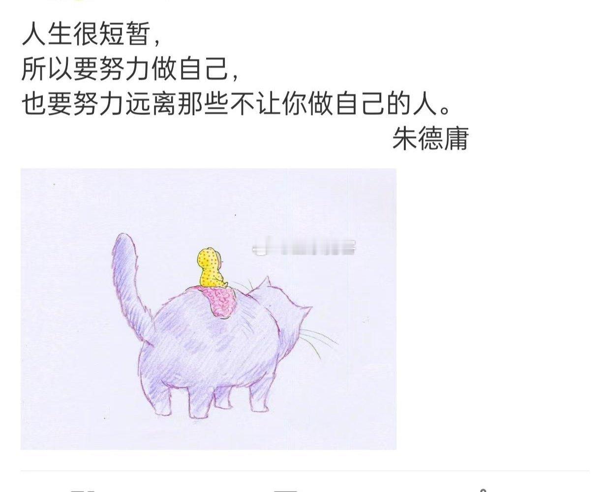人生很短暂，所以要努力做自己，也要努力远离那些不让你做自己的人。​​​