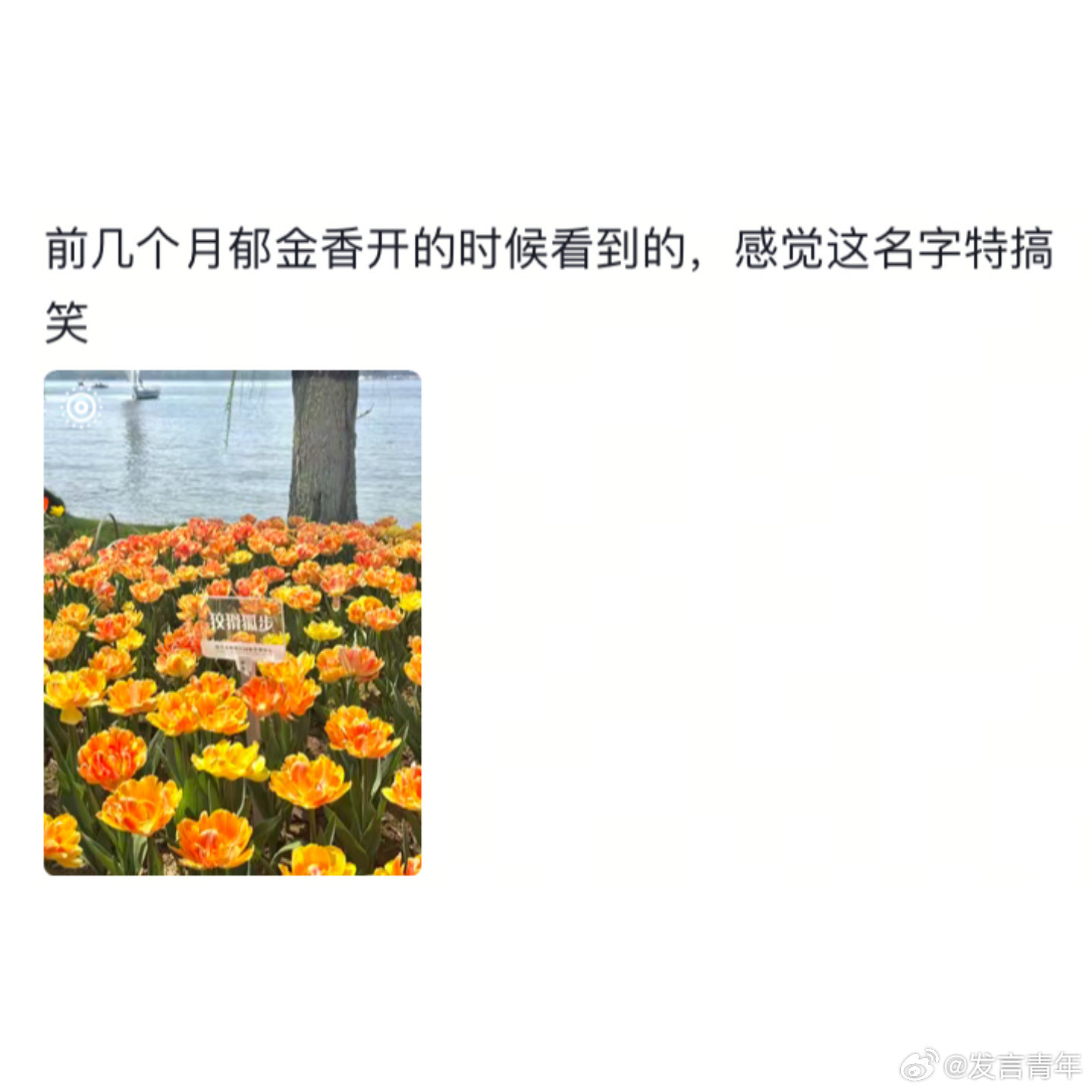 当科学家意识到起名自由度很高时