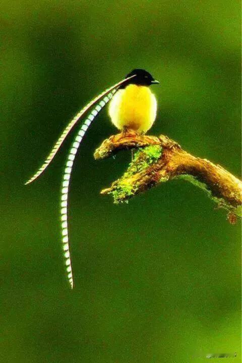 聊天没话题，就聊吃的记住一个社交真理：跟任何人聊天，一旦尴尬冷场，不知道