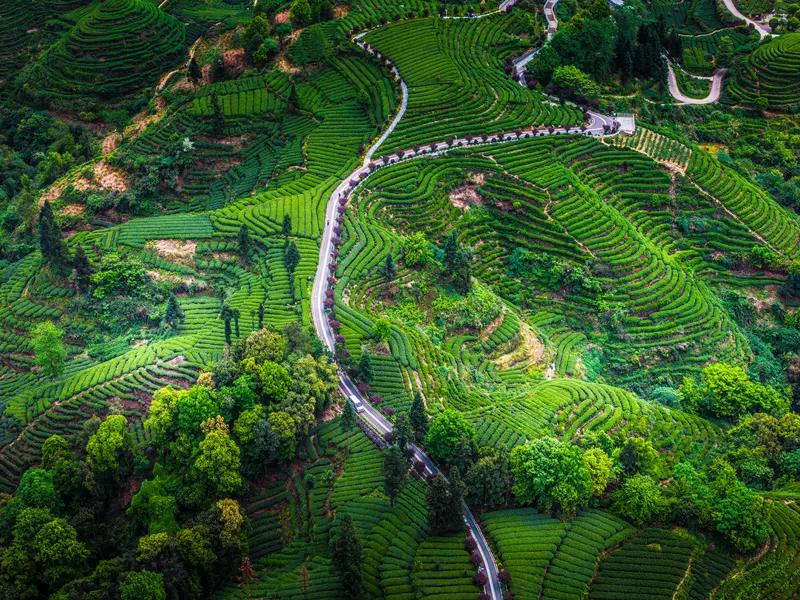 这也算是一件奇事了。网友们拥有着冲上宇宙、拿捏乾坤的巨大能量，却居然连宗馥莉是