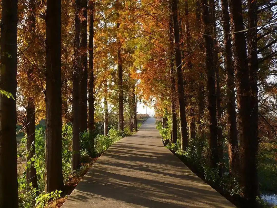 人到中年，才懂真正的爱“人到中年，才明白性不是爱，约会不是爱，24小时聊天