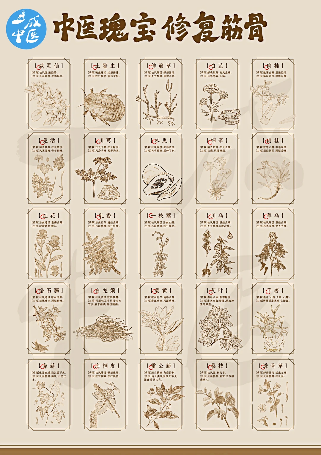可以修复筋骨的中药，你知道几个？