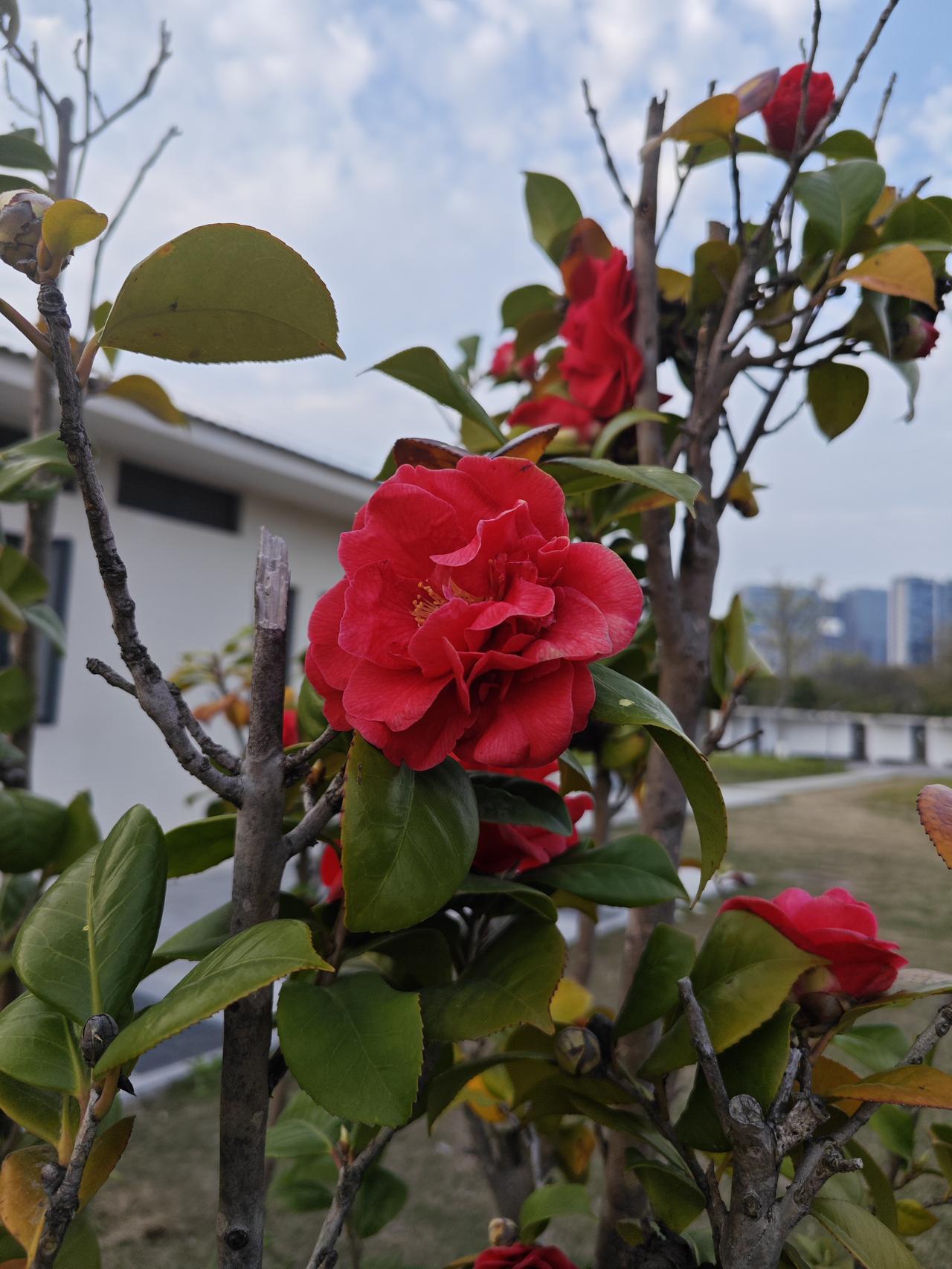 咱普通老百姓养生：就在厨房别再跟风乱补了。厨房里那几样便宜货，才是身体最认的