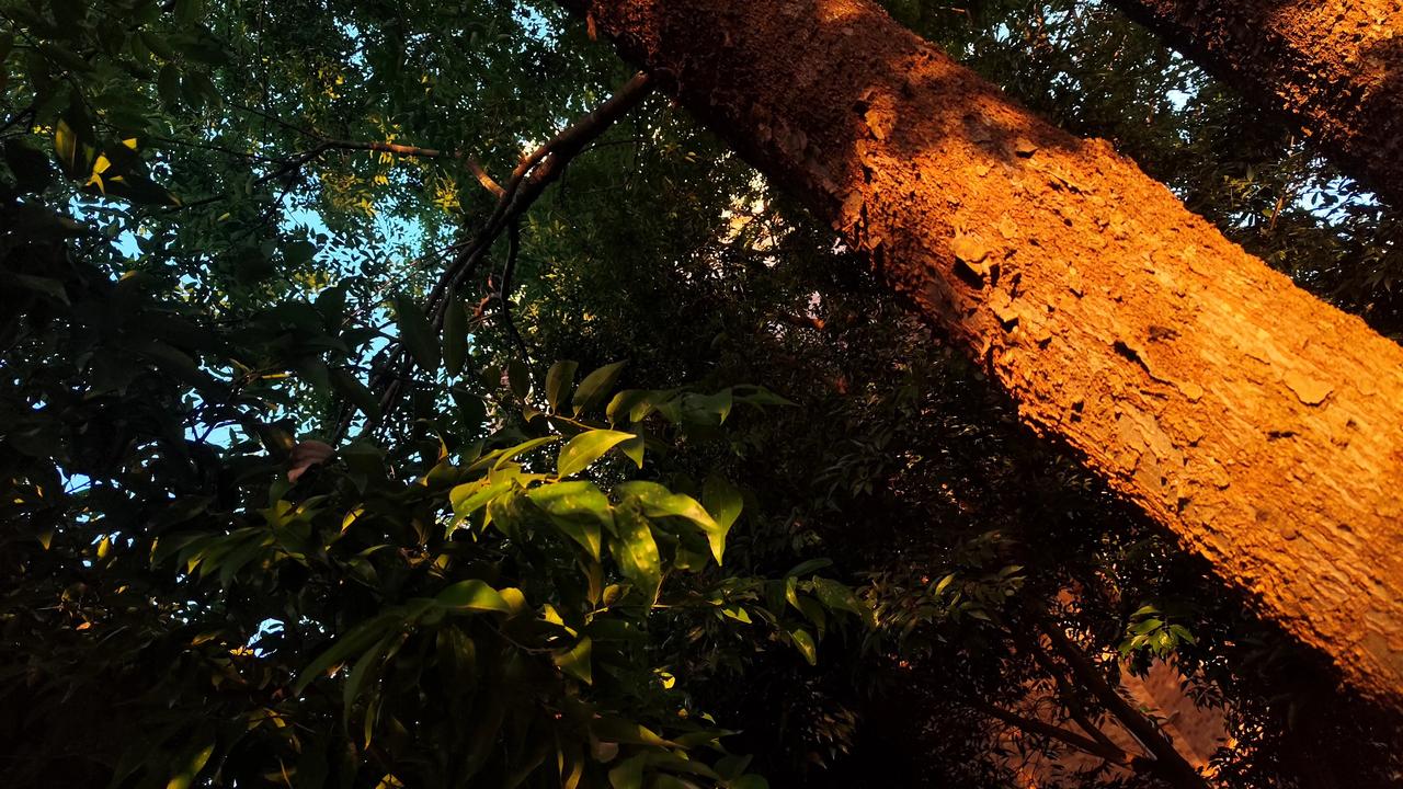 分享一张自然风景的照片，夕阳西下的风景！
