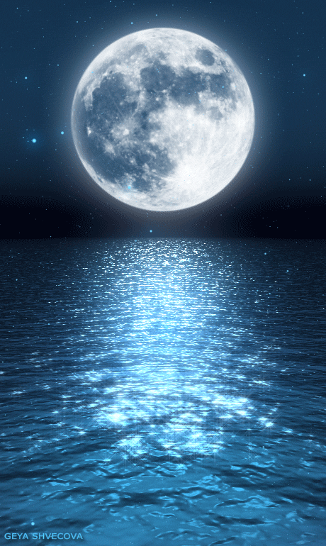 十二星座一周综合运势：转发迎接本周好运！白羊座：金牛座：双子座：巨蟹座：狮子座：