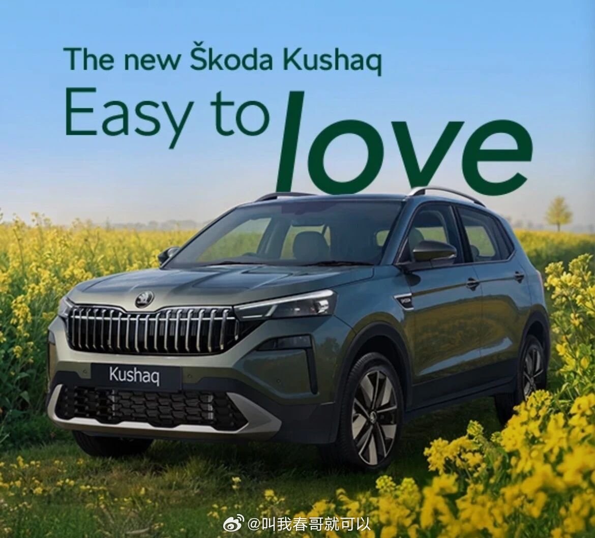 斯柯达将退出中国大众旗下最赚钱的品牌你绝对想不到！对，就是不久前决定退出中国的斯