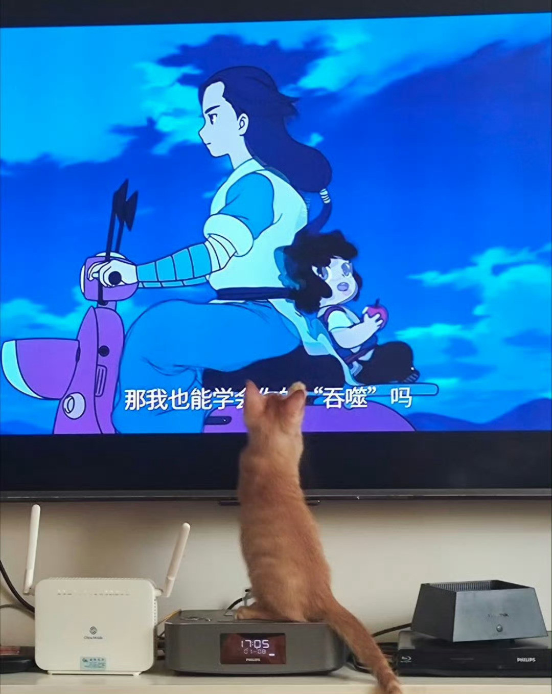 猫看罗小黑像我们看成龙原来猫咪也喜欢看罗小黑啊，这目不转睛的样子简直不要太可爱☺