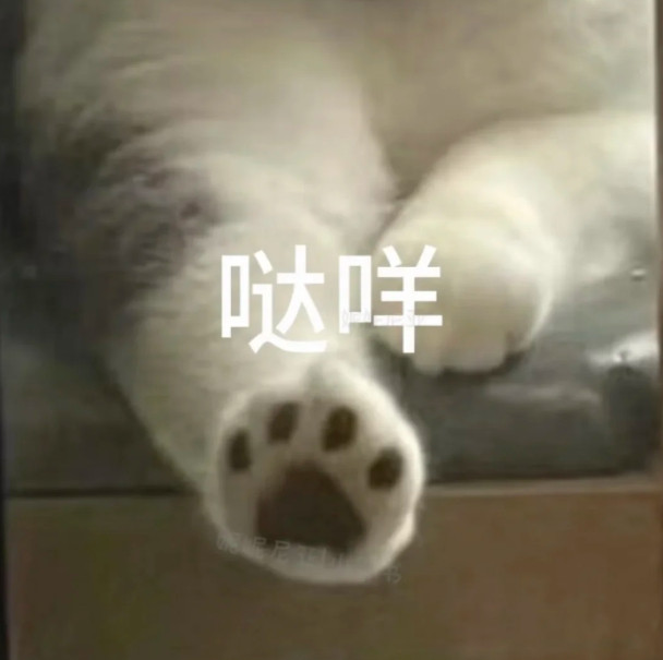 突然发现高跟鞋设计的很窄高跟鞋只能拍照凹造型出片的时候穿，平常穿不了一点，纯纯