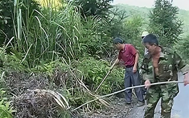 1986年男子打死73条毒蛇，后遭毒蛇追杀5年，最终命丧蛇口杀蛇，杀蛇，再杀