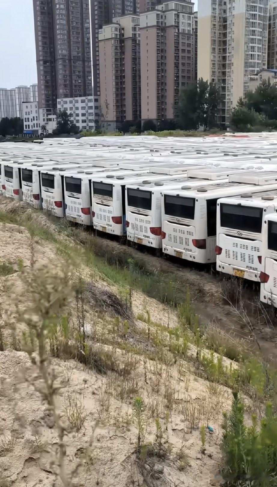燃油大巴的最终的归宿难道只能躺在这种空地上吗？能不能继续余热，比如低价出售给国