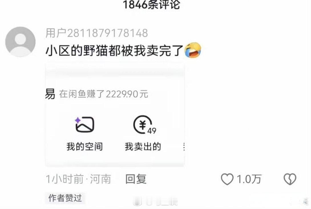 “小区的野猫都被我卖完了！”小区再无流浪猫困扰。小猫找到了爱它的主人。网友爆到了