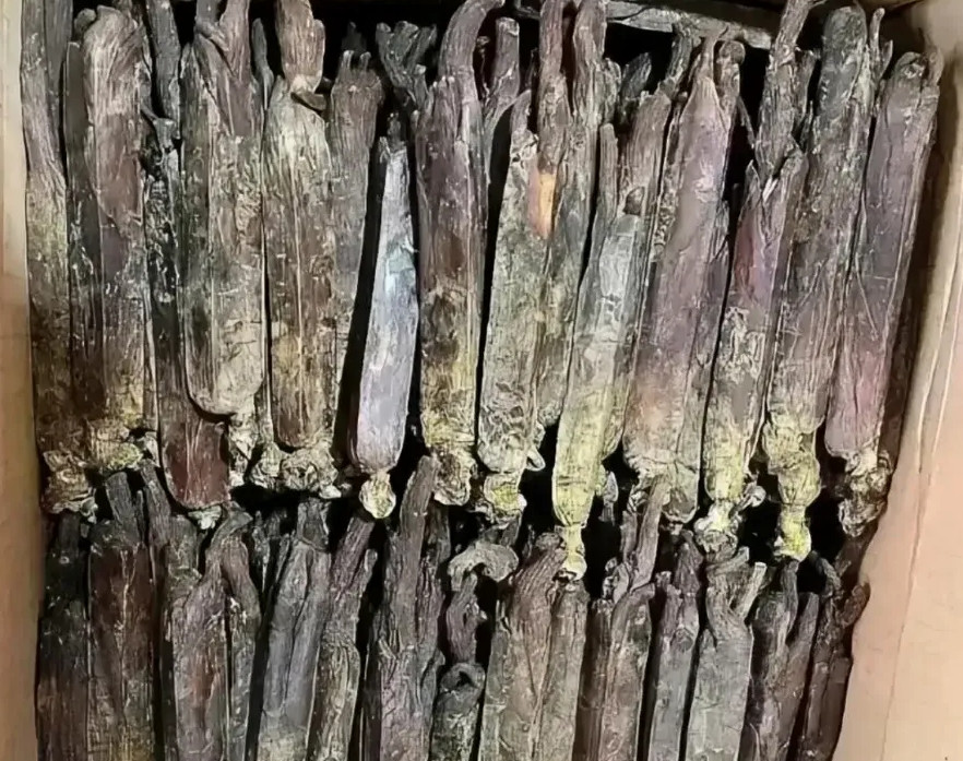 出来找工作，租了个房子，打扫的时候发现这一箱，到底是什么？谁知道?