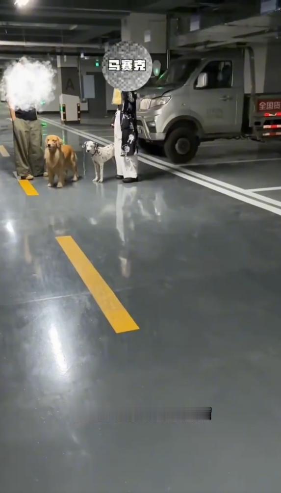 “狗没拴绳扑向婴儿，家长拿自拍杆挡了一下，狗主人竟反问：我怎么知道你的孩子咬不咬