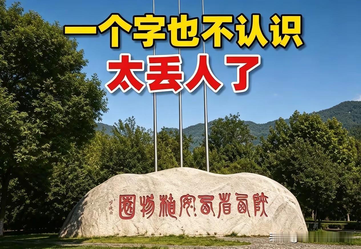 看到这一个，感觉自己几年大学白读了。今天一个朋友说他去了一个公园去玩儿，把门口的