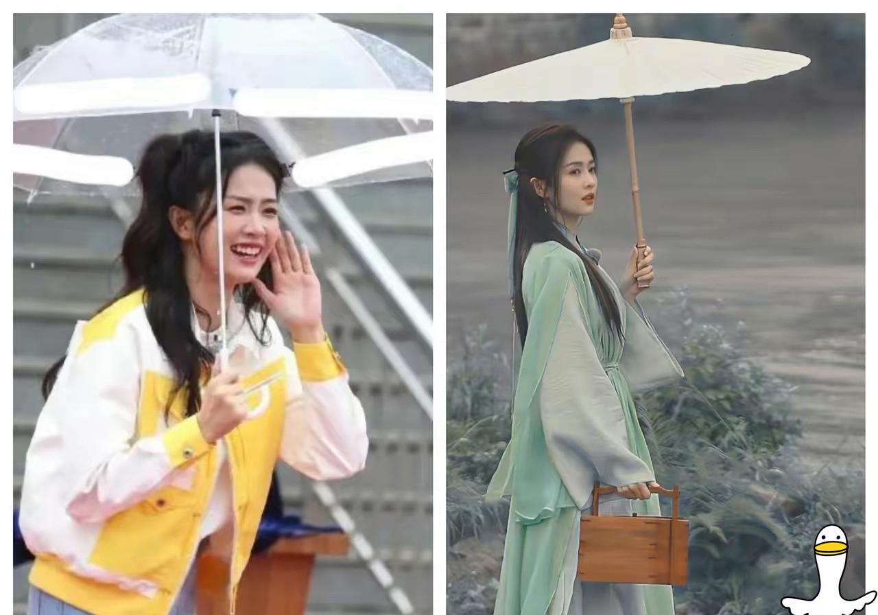 李晨在《奔跑吧》待了11年，录制了100多期。29岁的白鹿在节目里，当着一群人的