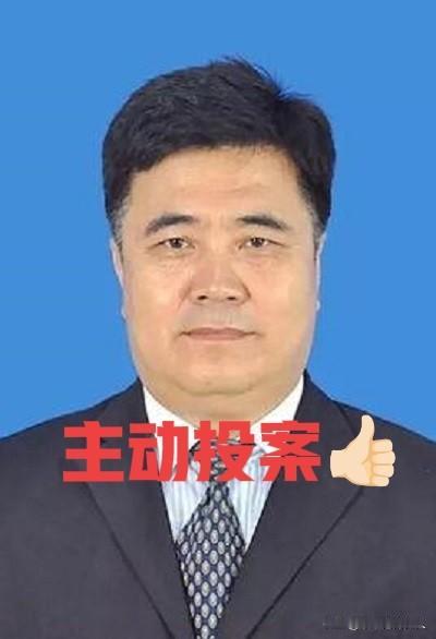 就在刚刚看了“界面快讯”新闻，“夏季”主动投案了，于是看了一下他的工作履历，6